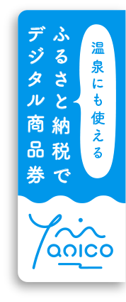 ふるさと納税でデジタル商品券